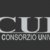 Immagine del link